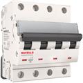 Автоматический выключатель 4P 6kA C Havells - фото 12847