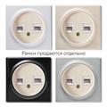 Розетка телефонная/компьютерная RJ-11/RJ-45 - фото 8961